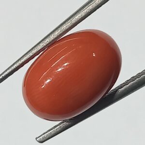 Mantrit (Energized) Authentic Original Red Coral Stone With Lab-Certified 5.70 Carat - Image 2