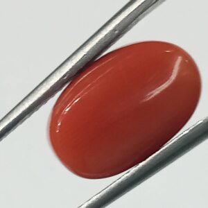 Mantrit (Energized) Authentic Original Red Coral Stone With Lab-Certified 6.00 Carat - Image 3