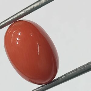 Mantrit (Energized) Authentic Original Red Coral Stone With Lab-Certified 5.30 Carat - Image 3