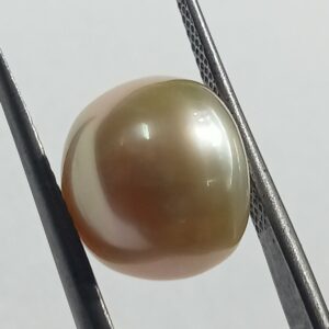 Mantrit (Energized) Natural Yellow (Golden) Pearl (Moti) Stone - 11.08 Carat - Image 2