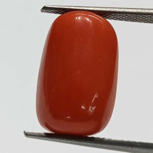 Mantrit (Energized) Authentic Original Red Coral Stone With Lab-Certified 12.36 Carat - Image 1