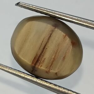 Mantrit (Energized) Cat’s Eye Stone (Lehsunia) & Lab- Certified Gemstone – 6.26 Carat - Image 2
