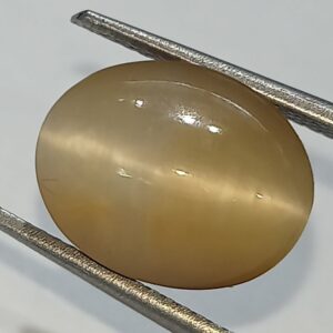 Mantrit (Energized) Cat’s Eye Stone (Lehsunia) & Lab- Certified Gemstone – 6.76 Carat - Image 1