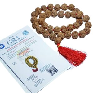 Mantrit (Energized) 5 Mukhi Rudraksha Kanthi Mala Nepali Certified, 36+1 Bead & 25 mm Approx - Image 3