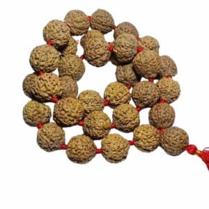 8 Mukhi Rudraksha Certified Mala Indonesia 32+1 Bead 28mm appx. Beads - Image 3