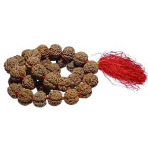 Mantrit (Energized) 5 Mukhi Rudraksha Kanthi Mala Nepali Certified, 36+1 Bead & 25 mm Approx - Image 2