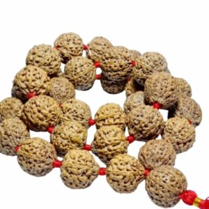 8 Mukhi Rudraksha Certified Mala Indonesia 32+1 Bead 28mm appx. Beads - Image 2