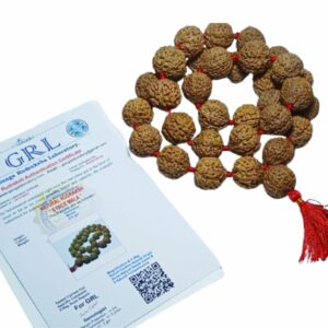 8 Mukhi Rudraksha Certified Mala Indonesia 32+1 Bead 28mm appx. Beads - Image 4