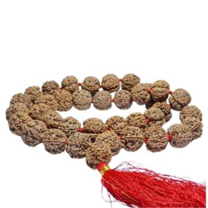 Mantrit (Energized) 5 Mukhi Rudraksha Kanthi Mala Nepali Certified, 36+1 Bead & 25 mm Approx - Image 5