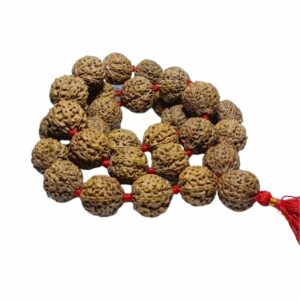 8 Mukhi Rudraksha Certified Mala Indonesia 32+1 Bead 28mm appx. Beads - Image 5