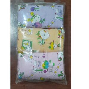 Amazing Design Kantha (Traditional Baby Mats) (Set of 3) - Image 3