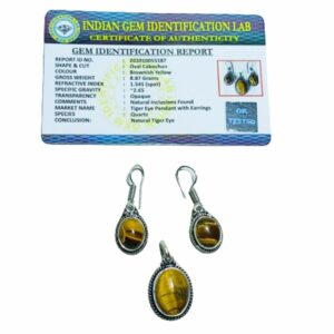 Mantrit (Energized) Tiger Eye Stone Pendant & Earrings Set: Radiate Confidence - Image 5