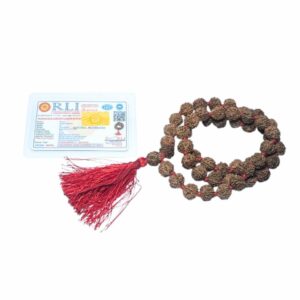 Very Rare Nepali 5 Mukhi Rudraksha Mala Original, Certified 10mm With 54+1 Beads - Image 2