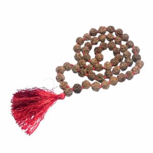 Very Rare Nepali 5 Mukhi Rudraksha Mala Original, Certified 10mm With 54+1 Beads - Image 3