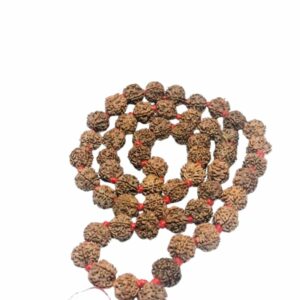 Very Rare Nepali 5 Mukhi Rudraksha Mala Original, Certified 10mm With 54+1 Beads - Image 4