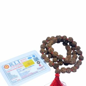 Very Rare Nepali 5 Mukhi Rudraksha Mala Original, Certified 10mm With 54+1 Beads - Image 5